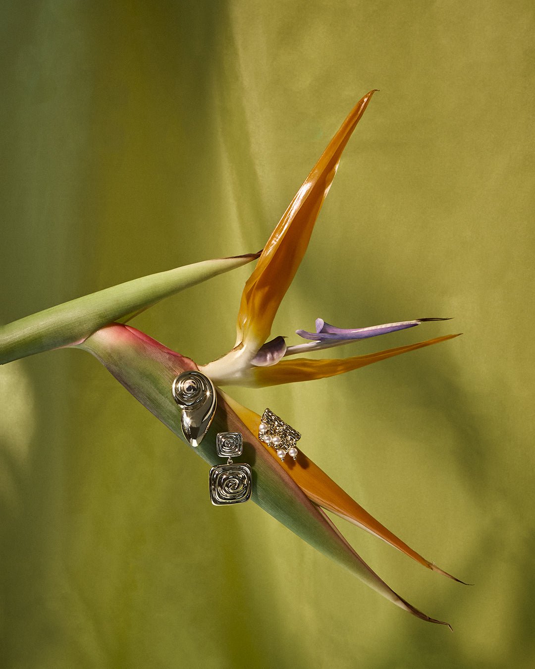 The Palma Shell Studs- Gold - Image 3