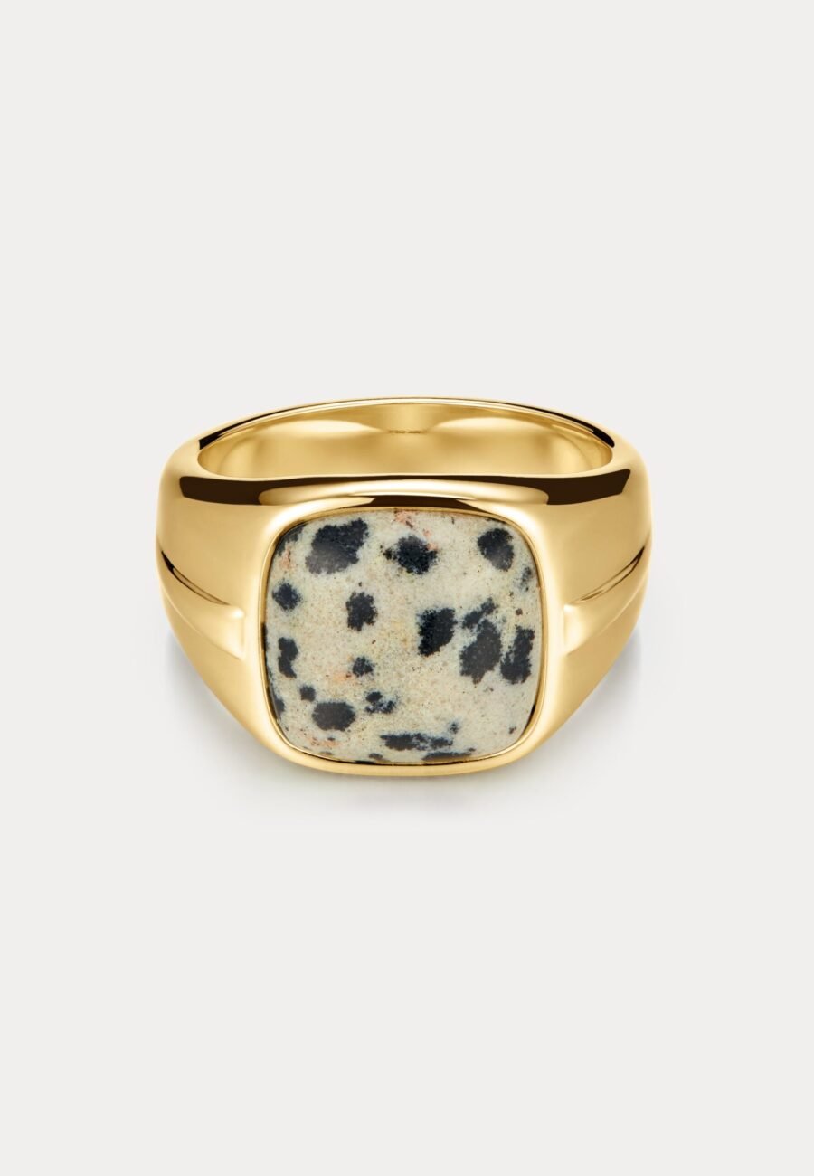 The Palma Signet Ring- Gold